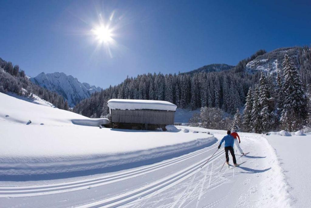 Brixnerhof Im Zillertal Otel Schlitters Dış mekan fotoğraf