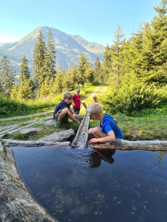Brixnerhof Im Zillertal Otel Schlitters Dış mekan fotoğraf
