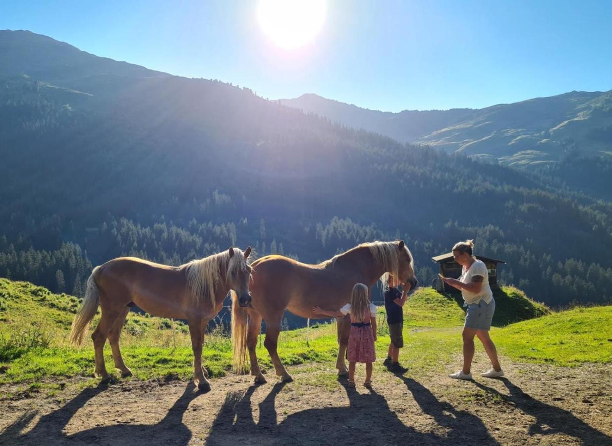 Brixnerhof Im Zillertal Otel Schlitters Dış mekan fotoğraf