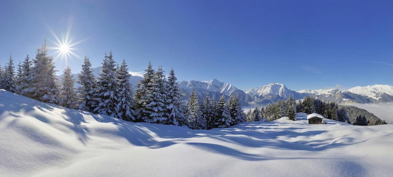 Brixnerhof Im Zillertal Otel Schlitters Dış mekan fotoğraf